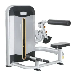 Abdominals/Lumbar Machine
