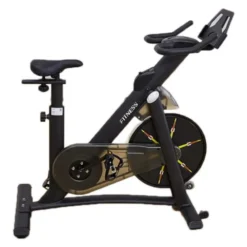 Spinning Compact Indoor Bike