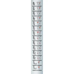 Multigym Nevada Plus G119xa 100kg 8 Multigym Nevada Plus G119xa 100kg -ActiveGear Store pro action multigym nevada plus g119xa 100kg 3