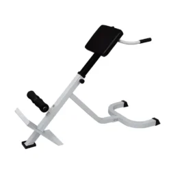 VIDAXL Back Extension Bench