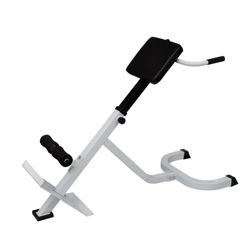 VIDAXL Back Extension Bench 1 VIDAXL Back Extension Bench